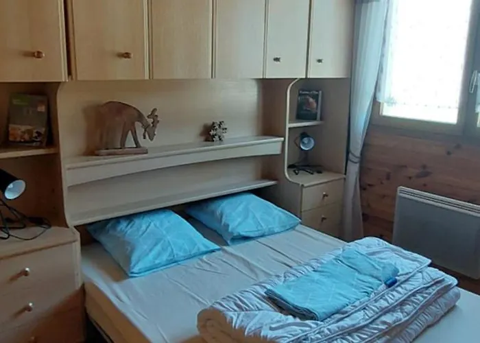 Cosy Au Pied Des Pistes Apartamento *